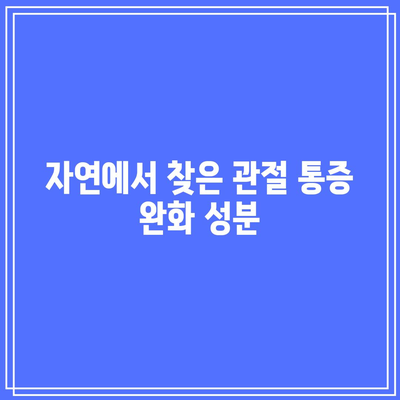 관절 통증을 멀리하는 천연 영양제