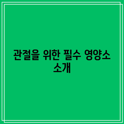 관절 건강 관리를 위한 식단 선택