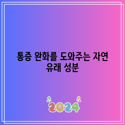 무릎 관절에 좋은 보조제: 통증 완화와 유연성 향상