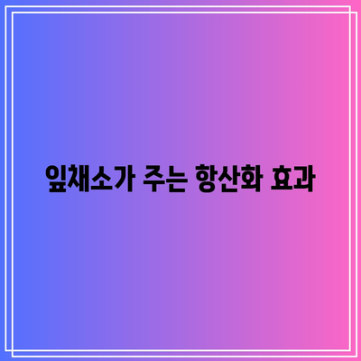 관절 건강 유지에 도움이 되는 항산화제 풍부한 음식