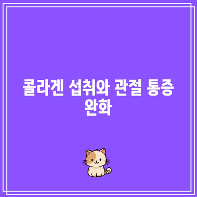 관절 건강을 위한 콜라겐의 힘