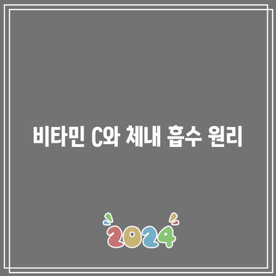 비타민 C 과다복용: 섭취를 조절하는 것이 중요한 이유