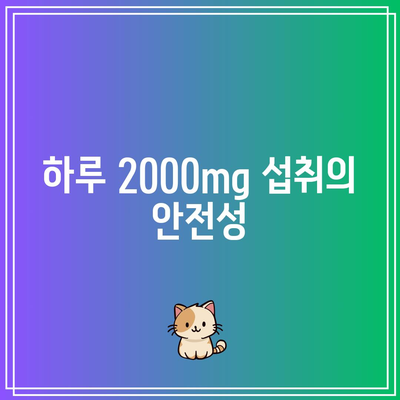 비타민 C 하루 2000mg: 최적의 건강을 위한 길잡이