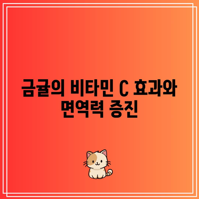 비타민 C 가득한 금귤(낑깡): 효능, 부작용, 요리와 칼로리