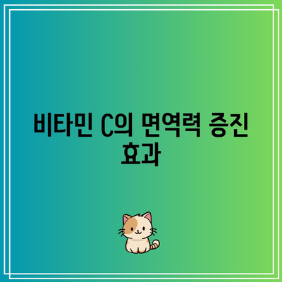 비타민 C 효능: 비타바움 비타민 C 추천