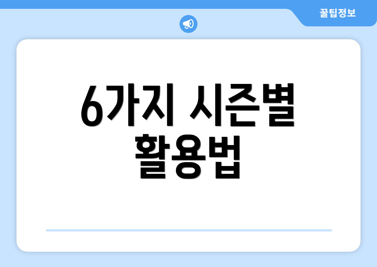 6가지 시즌별 활용법