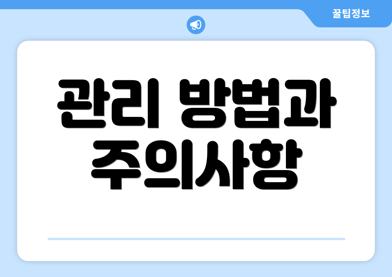 관리 방법과 주의사항