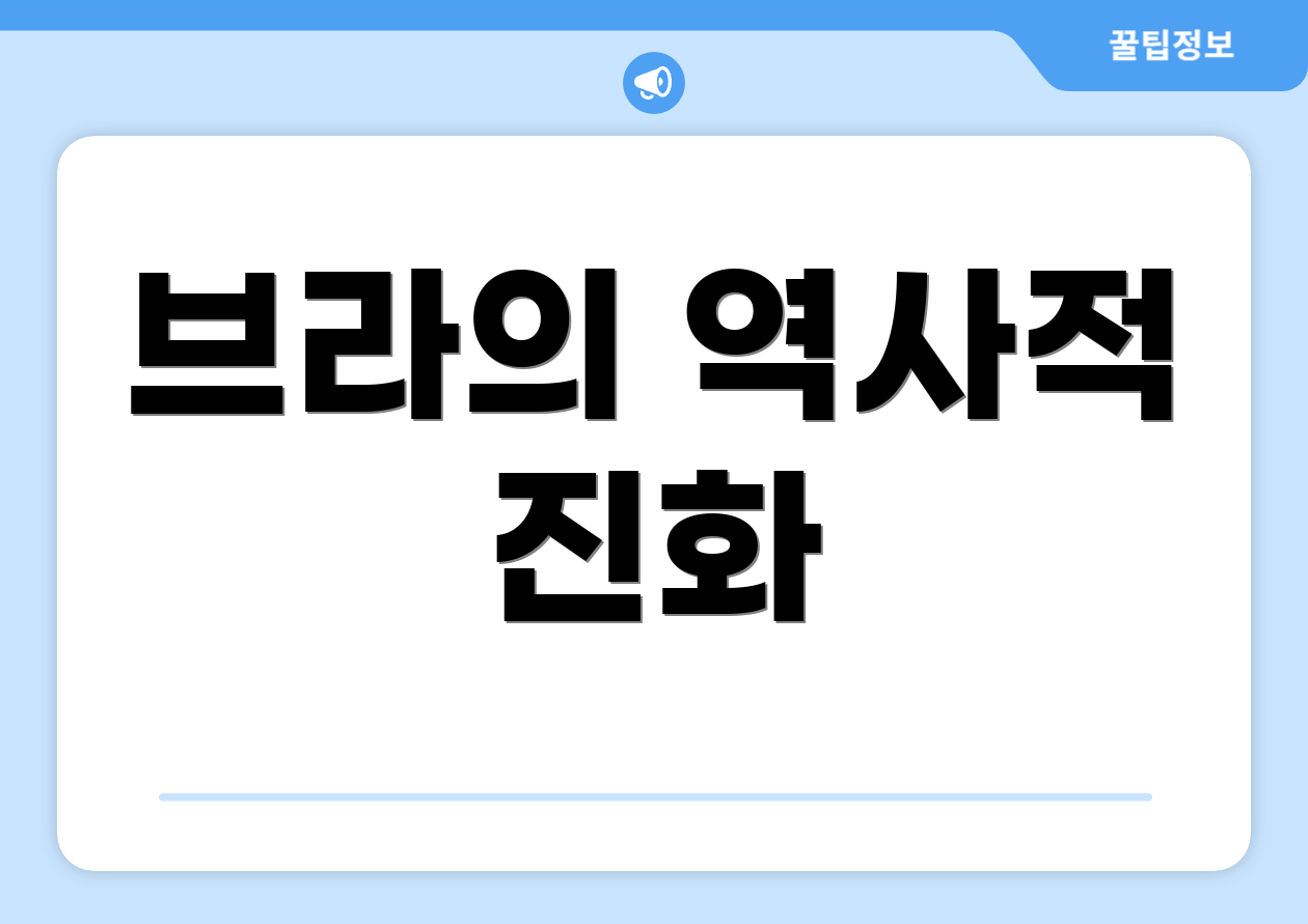 브라의 역사적 진화